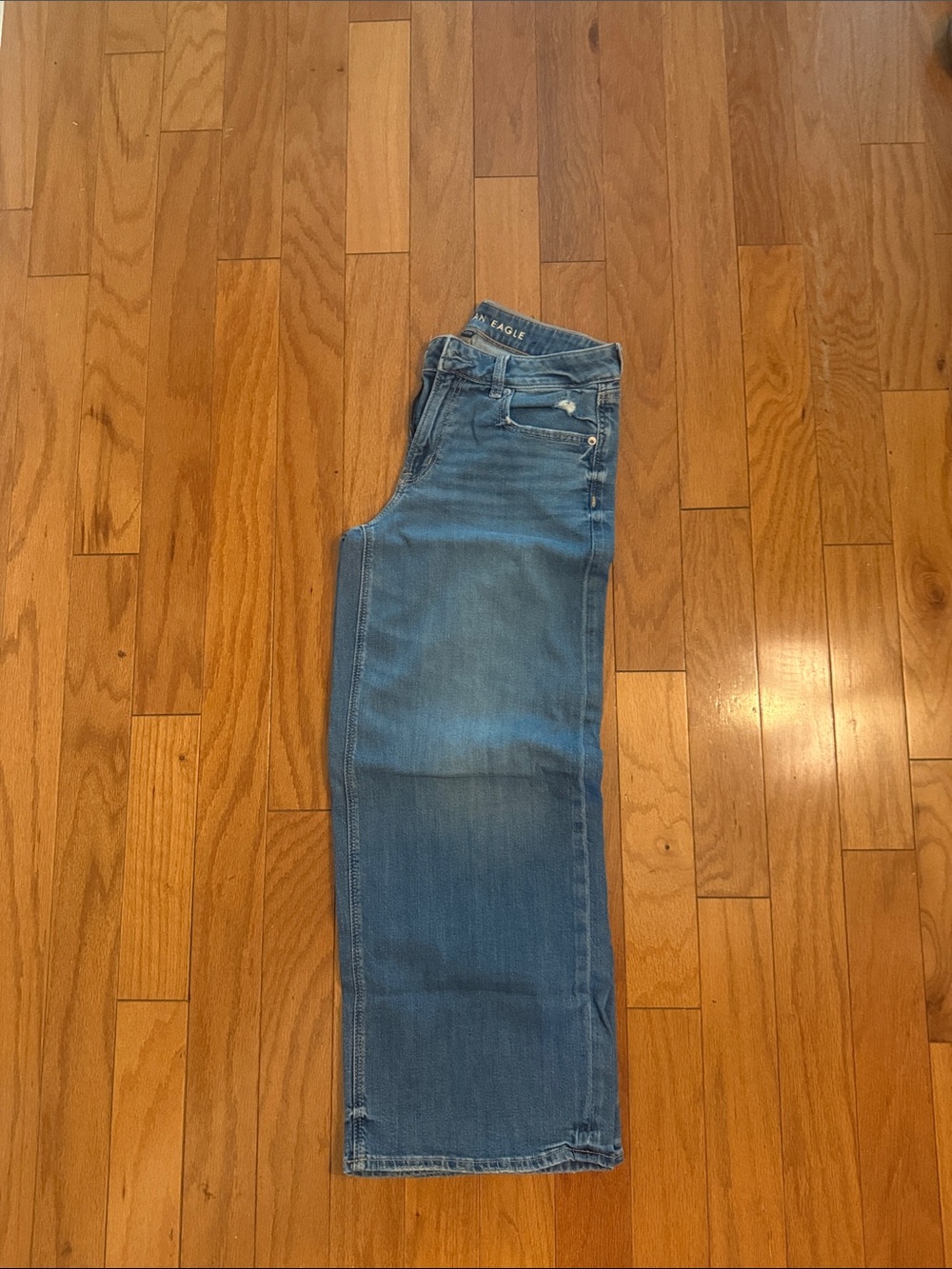 American Eagle Outfitters Low-Rise Baggy Wide Leg, Size 4 Short